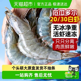 海仙部落厄瓜多尔白虾鲜活速冻大虾盐冻2030南美白虾基围虾海虾