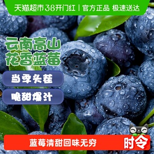 云南高原花香蓝莓新鲜水果当季整箱鲜果现摘