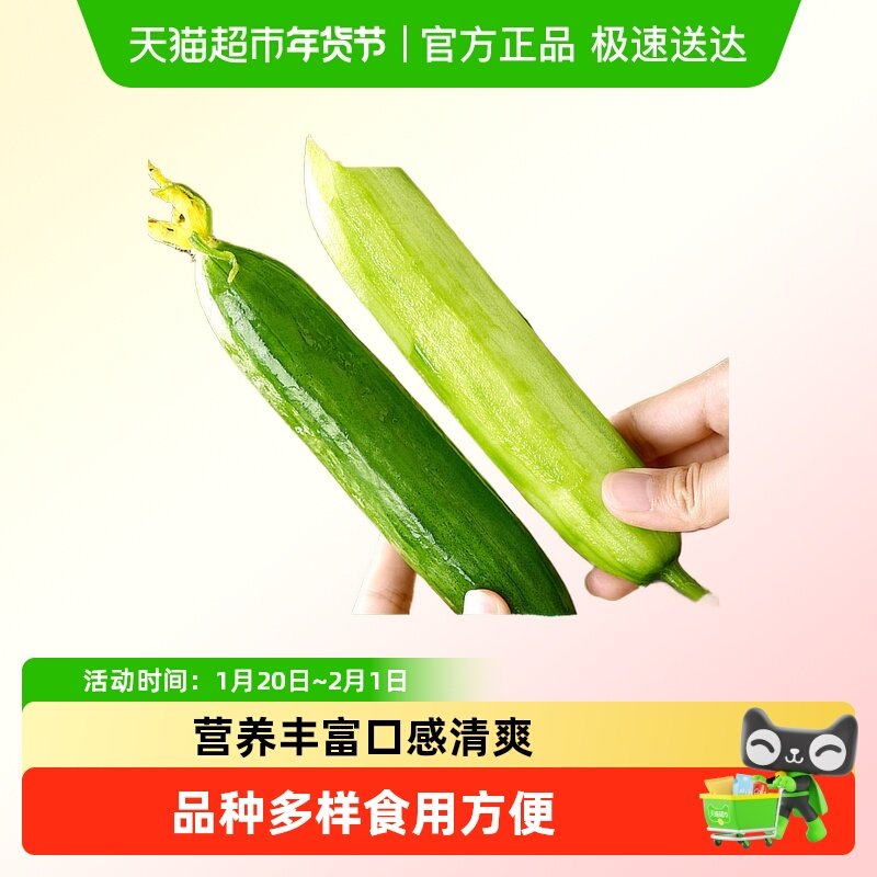 众利合脆嫩无刺水果小黄瓜新鲜采摘口感清爽水分充足多种吃法生吃,水产肉类/新鲜蔬果/熟食,黄瓜,淘宝优惠券,粉丝福利购,淘宝优惠卷
