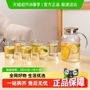 家用客厅待客水壶茶杯7件套简约竖纹水具套装 彩界耐热玻璃杯套装