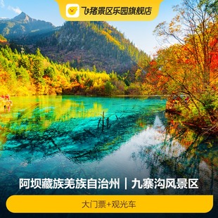 大門票 觀光車 九寨溝風景區