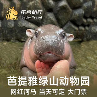 泰国芭提雅绿山野生动物园当天可定动物表演快速出票 大门票 绿山国家动物园