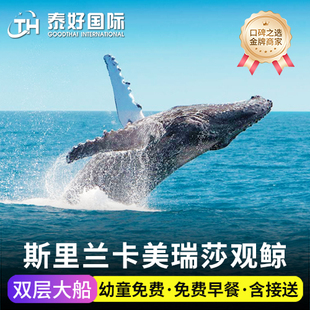 斯里兰卡美瑞莎观鲸一日游美瑞沙出海美蕊莎海豚看鲸鱼海钓鱼旅游