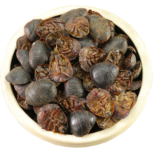 【经方集】土鳖虫中药材地鳖虫打土鳖虫粉土元100/250g/500克