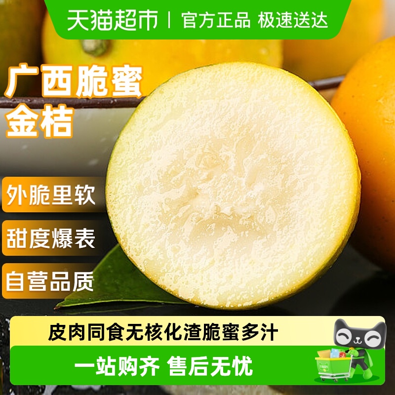 京运达广西脆蜜金桔小金柑