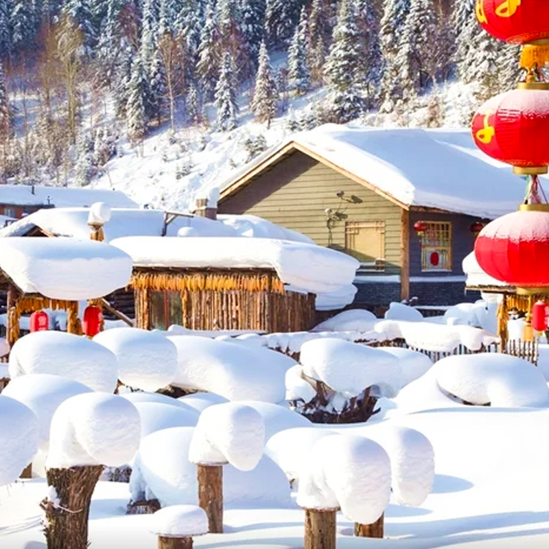 含机票12人小团东北旅游雪乡冰雪画廊亚布力滑雪冬捕航拍5日游