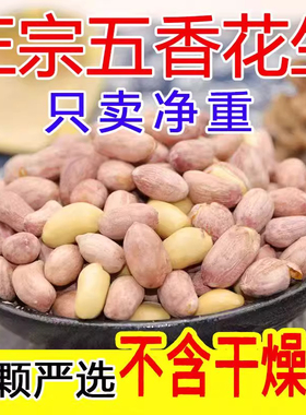 正宗龙岩花生200g/500gx1袋   五香烘炒入味花生铁锅炒制带壳坚果
