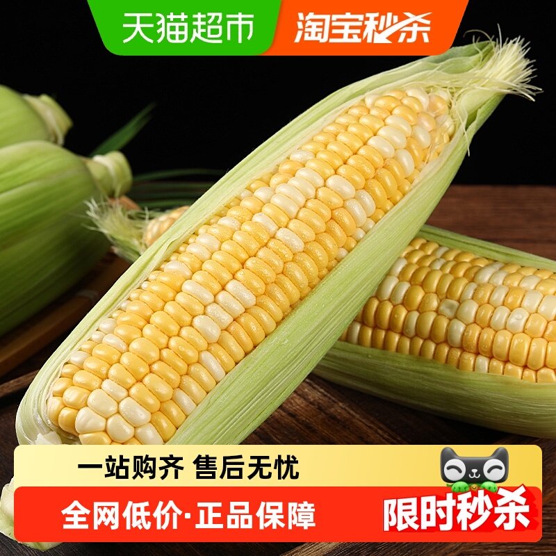 【详情页补贴折上折】顺丰云南新鲜甜金银水果玉米棒子包谷新鲜蔬