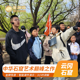 金牌说●大同云冈石窟讲解3H金牌导游讲解大咖解说 小团+专场可选