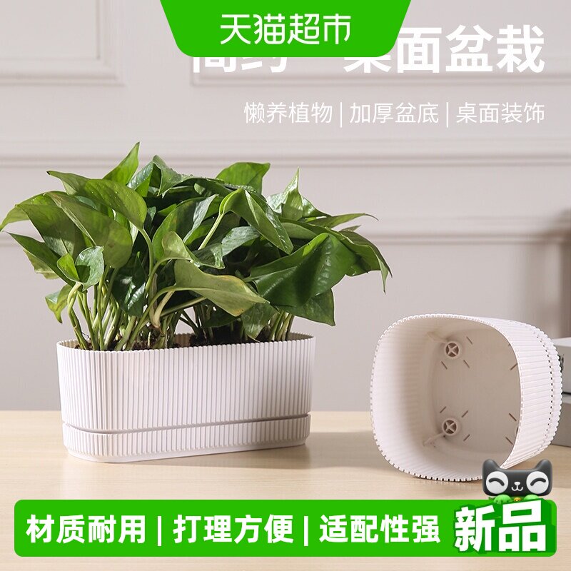 北欧简约带底盘花盆家用加厚耐用多肉绿植小盆栽花盆直筒种植盆