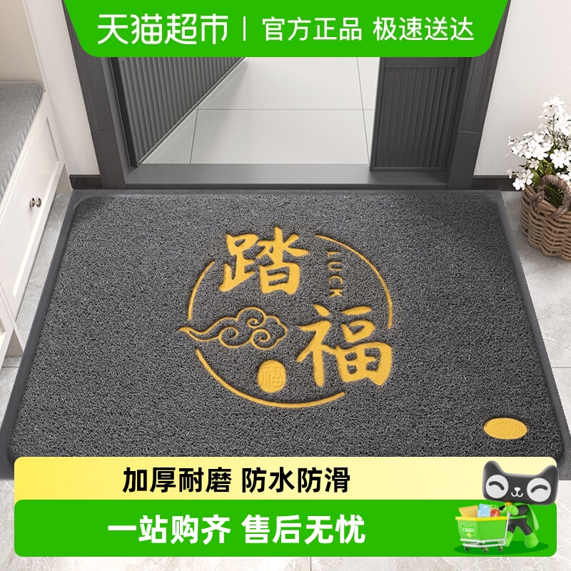 入户门丝圈防滑耐磨脚垫
