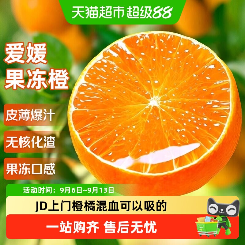 京运达四川爱媛果冻橙图片