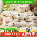 巴迪高小熊猫一次性床单被罩枕套被套旅行旅游加厚双人隔脏