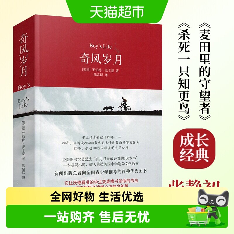 奇风岁月 麦卡蒙美国成长外国现当代文学小说译林出版社新华书店