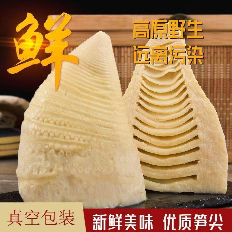 冬笋野生楠竹笋清水水煮冬笋真空包装春笋冬笋清水冬笋新鲜嫩冬笋