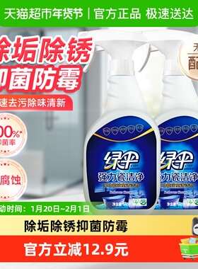 绿伞瓷砖清洁剂卫生间浴室清洗剂660g*2瓶地砖地面玻璃除水垢