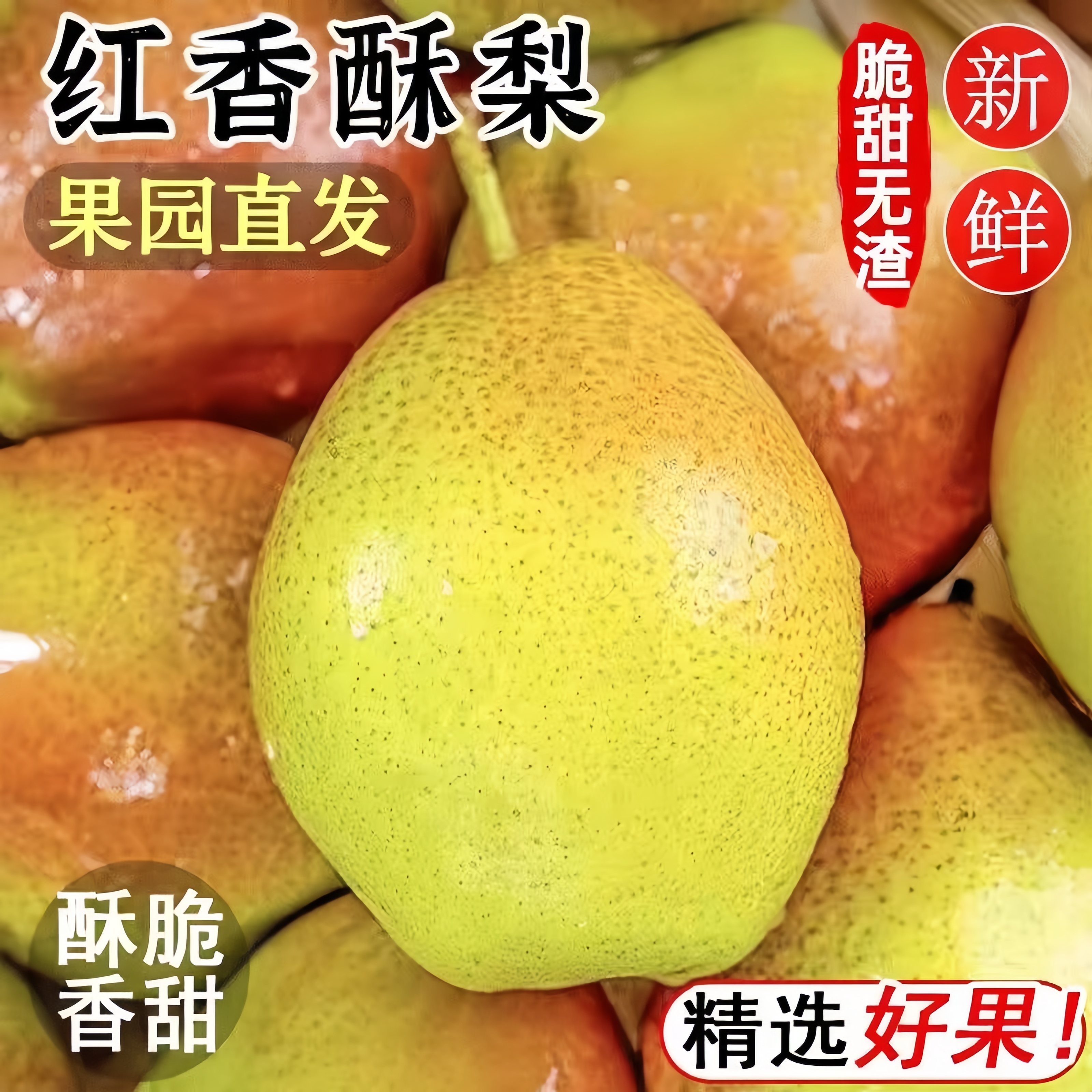 正宗红香酥梨头茬当季现摘香梨青梨子脆甜特产新鲜水果整箱包邮