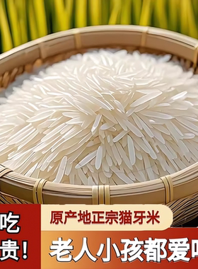 当季晚稻新米广西猫牙香米梯田大米煲仔饭炒饭农家长粒批发5/10斤