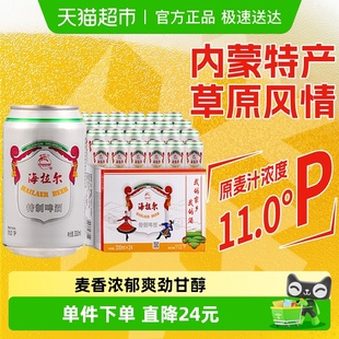 内蒙特产 拉格啤酒整箱 24听经典 雪花啤酒海拉尔特制11度330