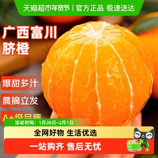 正宗广西富川脐橙应当季新鲜水果非秭归赣南奉节伦晚橙子