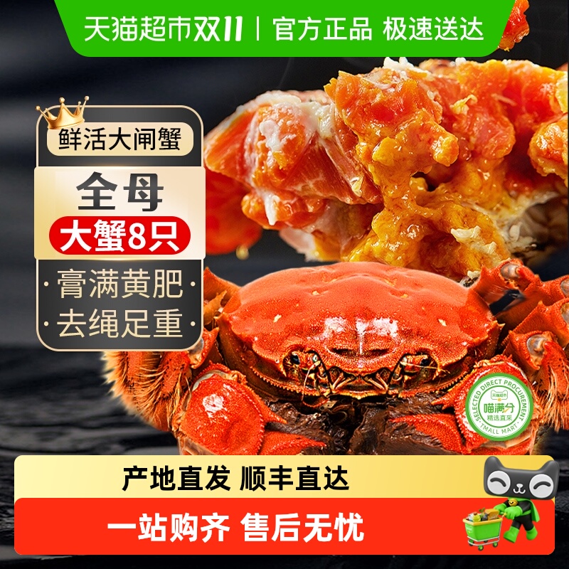 江苏鲜活全母大闸蟹