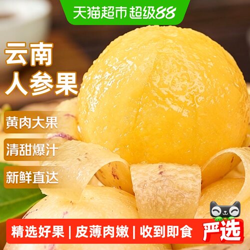 京运达云南人参果