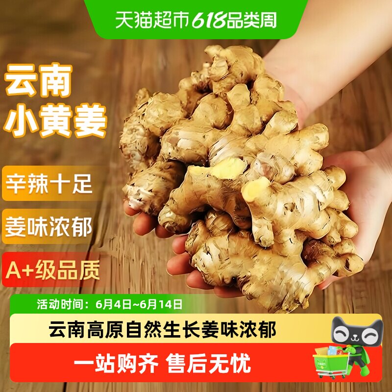 云南小黄姜红河新鲜生姜老姜现挖高山沙姜土姜种子蔬菜