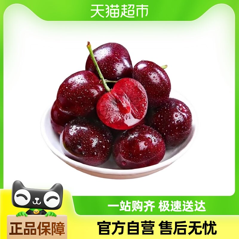 智利进口车厘子樱桃J/2J/3J/4J当季新鲜水果送礼5斤包邮