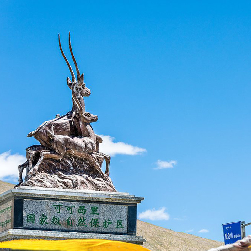 可可西里轻奢小团青海格尔木上门境内跟团游