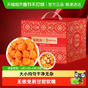 【年货礼盒】福东海10A桂圆肉干礼盒龙眼肉无核免剥独立小袋