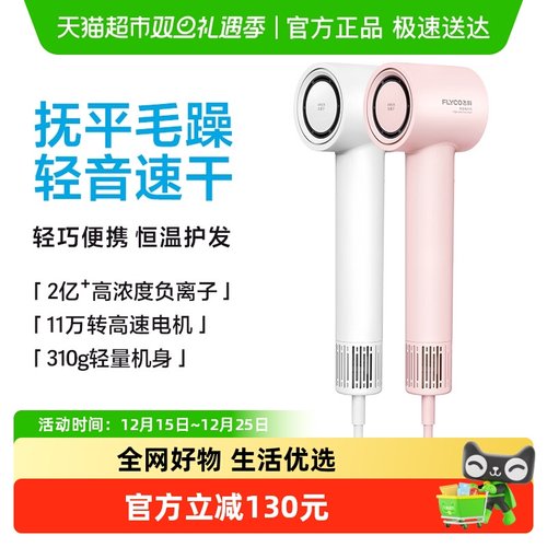 飞科高速负离子护发大风力吹风机