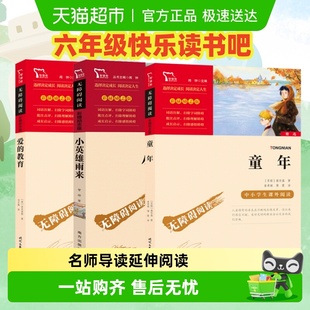 童年六年级上册快乐读书吧爱 教育小英雄雨来全套高尔基完整原版