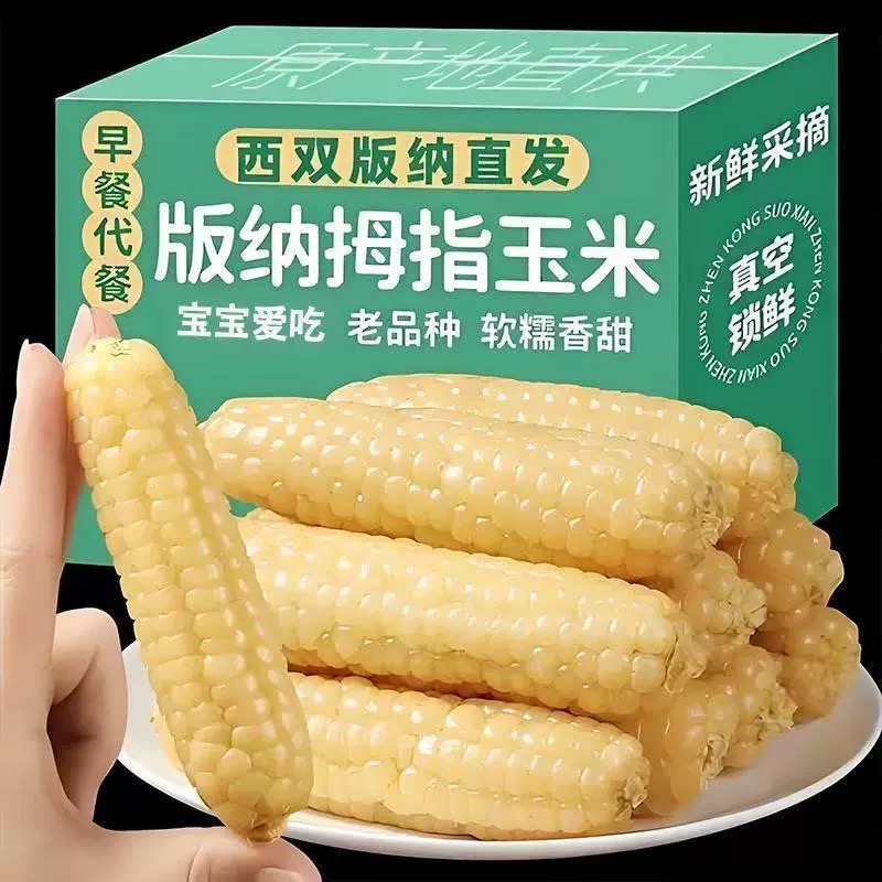 云南西双版纳拇指玉米即食早餐代餐新鲜傣家甜香糯迷你手指小玉米