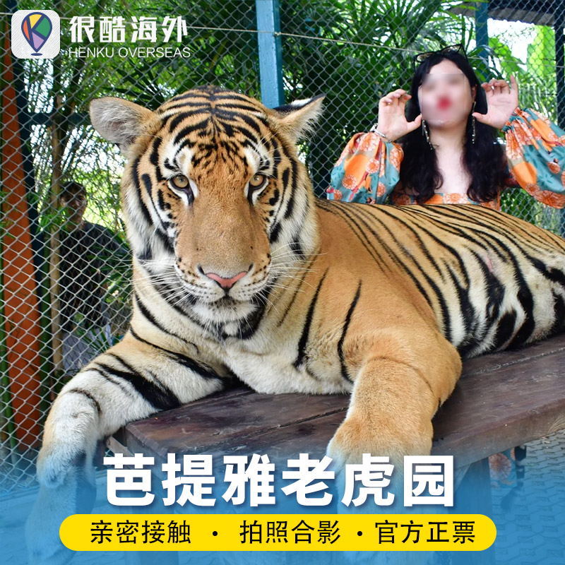 芭提雅老虎园Tiger park芭堤雅老虎园近距离接触老虎门票