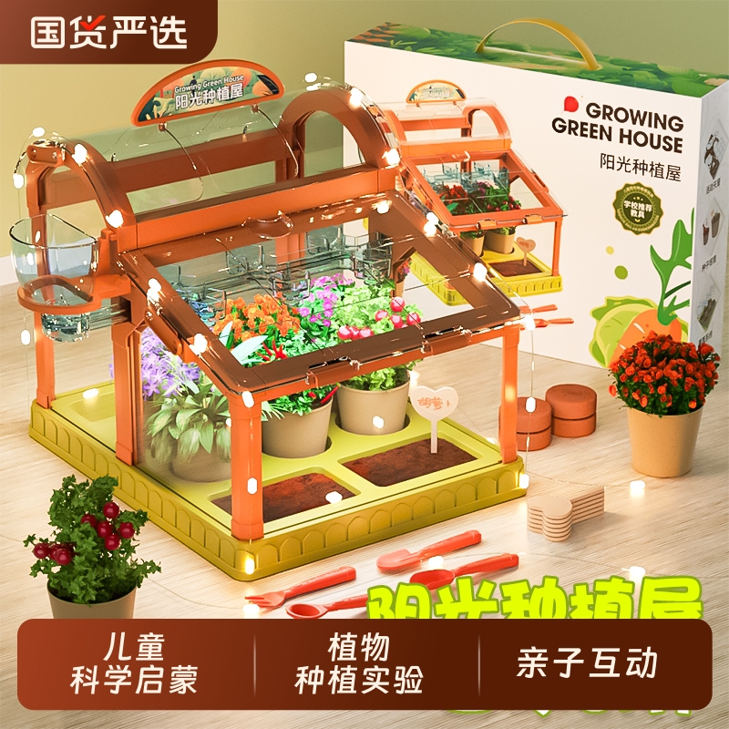 儿童阳光房种植花房种菜植物生长观察玩具科学实验套装小学生礼物