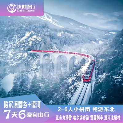 哈尔滨市游亚布力滑雪雪乡雪国列车漠河北极村包含车7天6晚赠旅拍