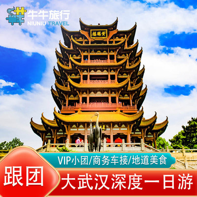 武汉旅游武汉一日游纯玩vip小团 含黄鹤楼湖北省博物馆专业讲解