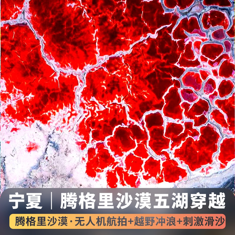 腾格里沙漠一日游