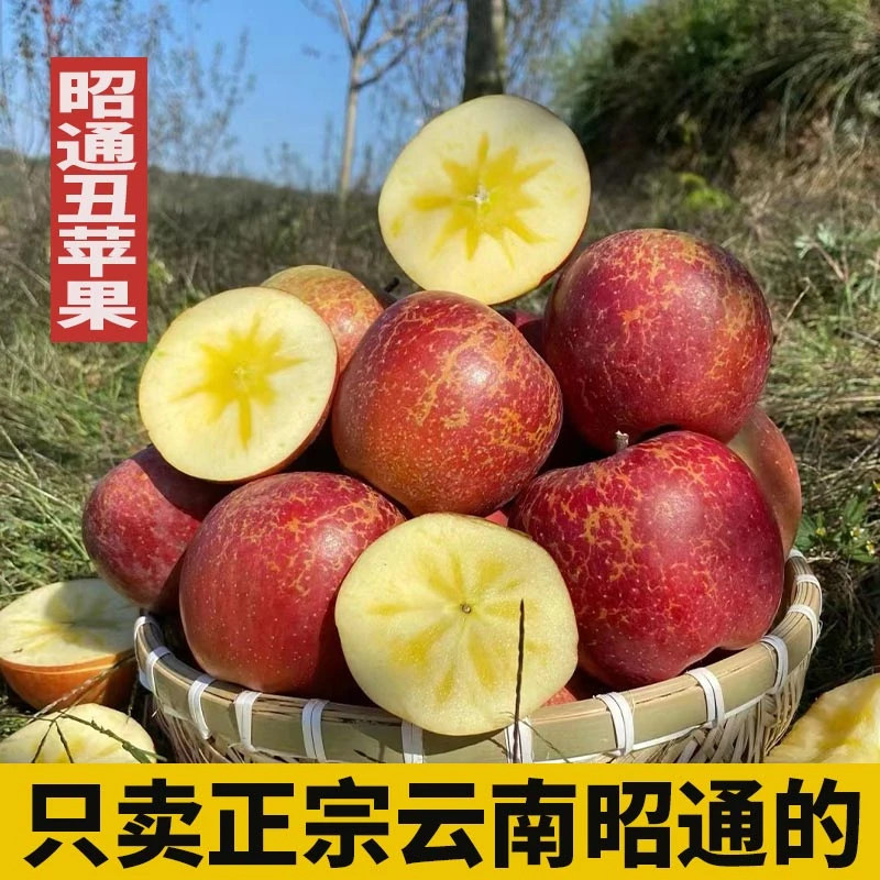 正宗云南昭通红露苹果脆甜丑苹果新鲜应当季水果脆甜清爽冰糖心,水产肉类/新鲜蔬果/熟食,苹果,淘宝优惠券,粉丝福利购,淘宝优惠卷