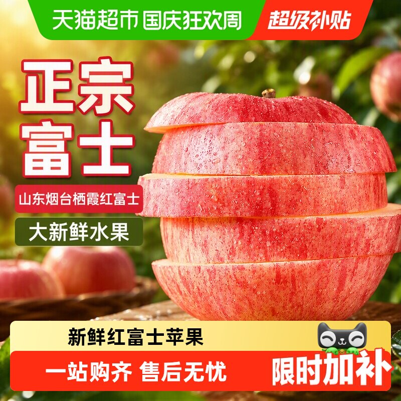 正宗山东烟台栖霞红富士苹果大新鲜水果应当季整箱JD送货丑苹果