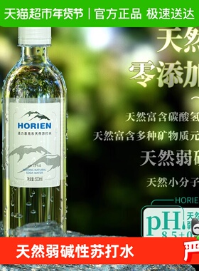 HORIEN/活力恩克东天然苏打水无气弱碱性500ml*12瓶pH8.5北纬47°