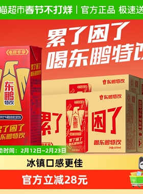 东鹏特饮维生素功能饮料加班熬夜补充能量醒着拼250ml*24盒*2箱