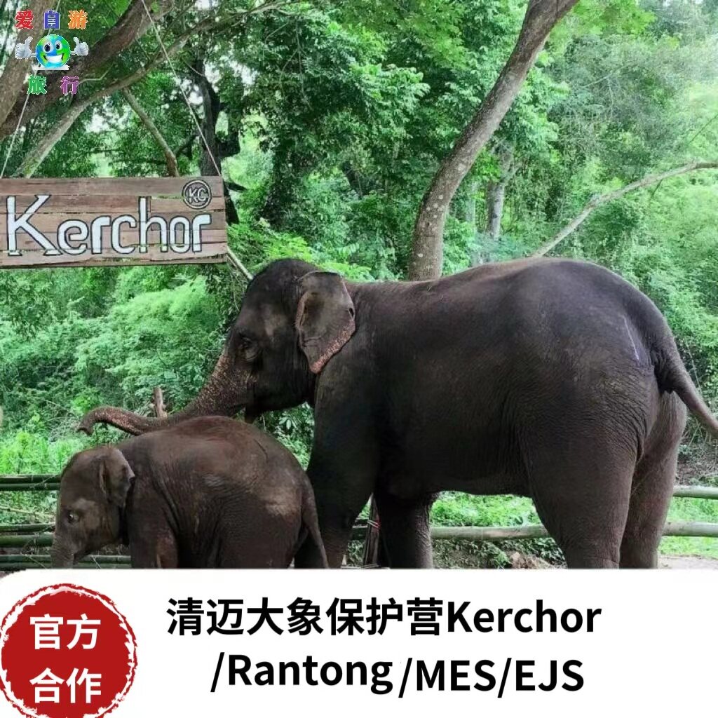 爱自游x清迈大象保护营公益大象营可巧kerchor竹筏冉彤Rantong