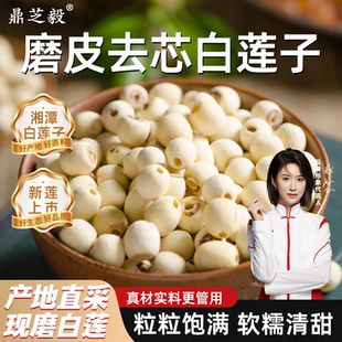 白莲子湖南特产湘潭白莲子干货去芯莲米 500g无芯取芯磨皮湘莲