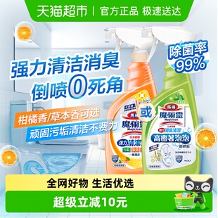 进口花王马桶清洁剂洁厕灵厕所马桶除臭除菌清洁剂