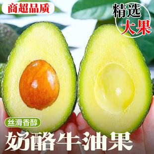 秘鲁进口牛油果6个新鲜水果当季整箱包邮宝宝辅食一级鳄梨哈斯