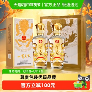 一尊天下五粮液集团出品 金龙瓶浓香型白酒52度 500mL*2瓶含礼袋