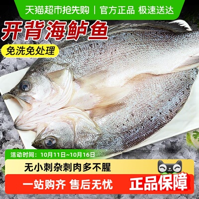卖鱼郎先生开背新鲜冷冻海鲈鱼