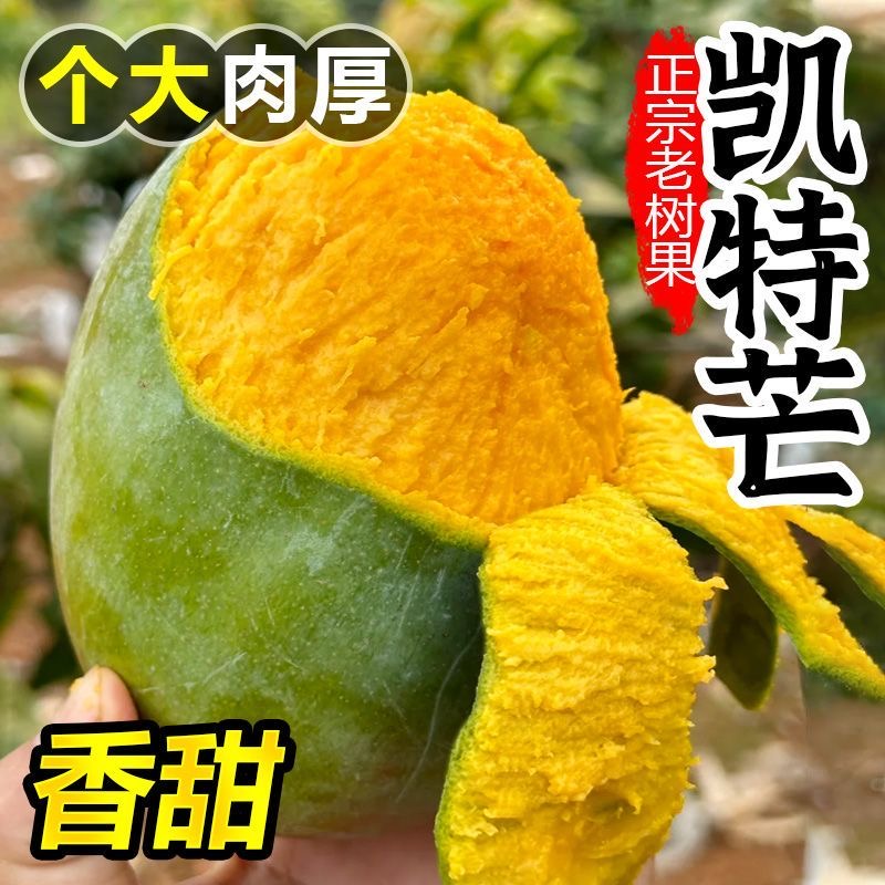 攀枝花凯特芒果5斤新鲜水果当季整箱大青芒超甜青皮大澳芒果包邮