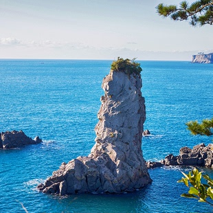 【机票+酒店】上海直飞韩国济州岛4日1晚/3晚可选往返自由行